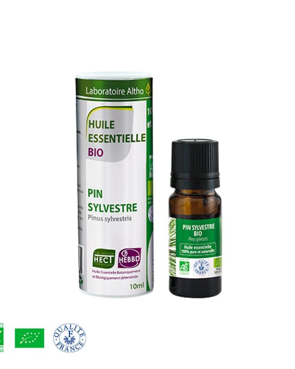 Bor bijeli / Pinus sylvestris