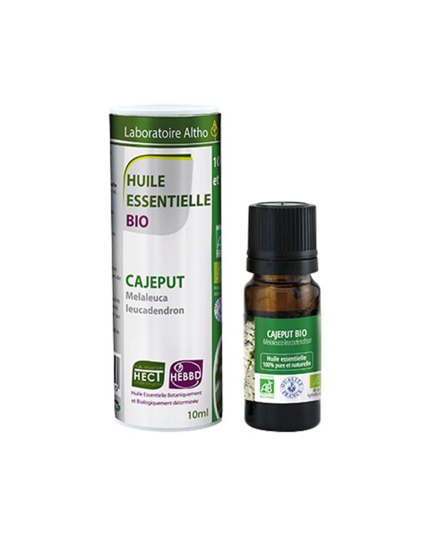 Kajeput / Melaleuca leucadendron