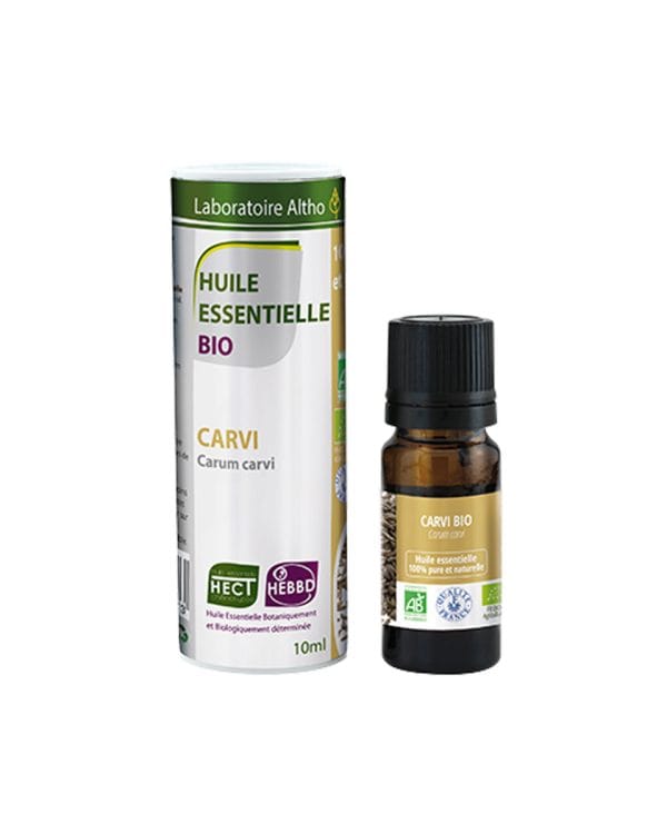 Kim / Carum carvi