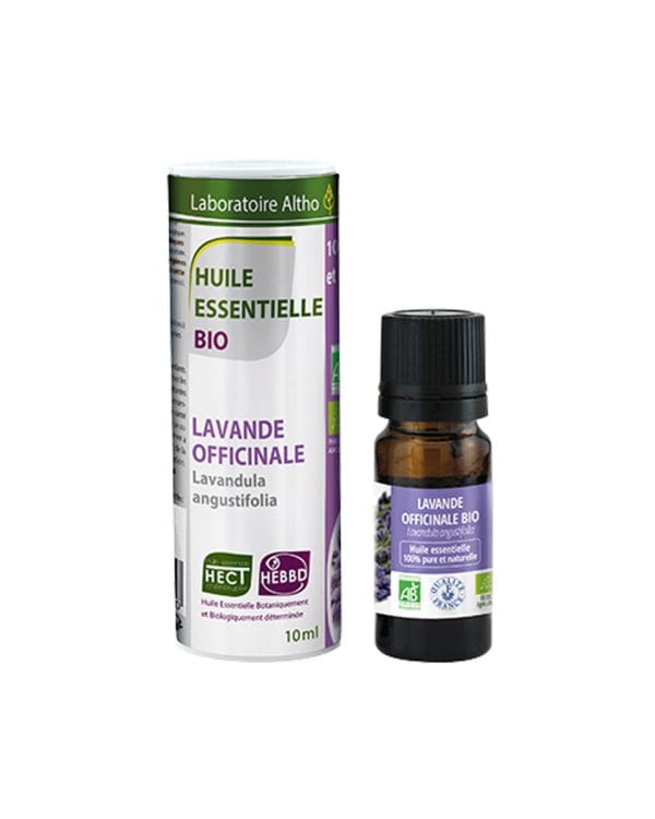 Lavanda prava / Lavandula angustifolia