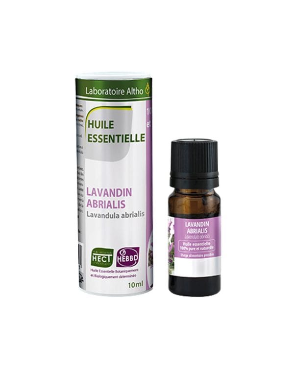 Lavandin abrial / Lavandula abrialis