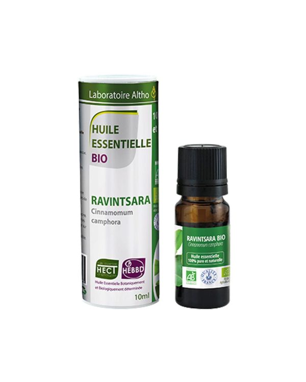 Ravintsara / Cinnamomum camphora