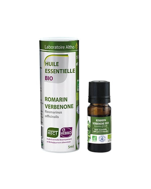 Ružmarin verbenon / Rosmarinus officinalis