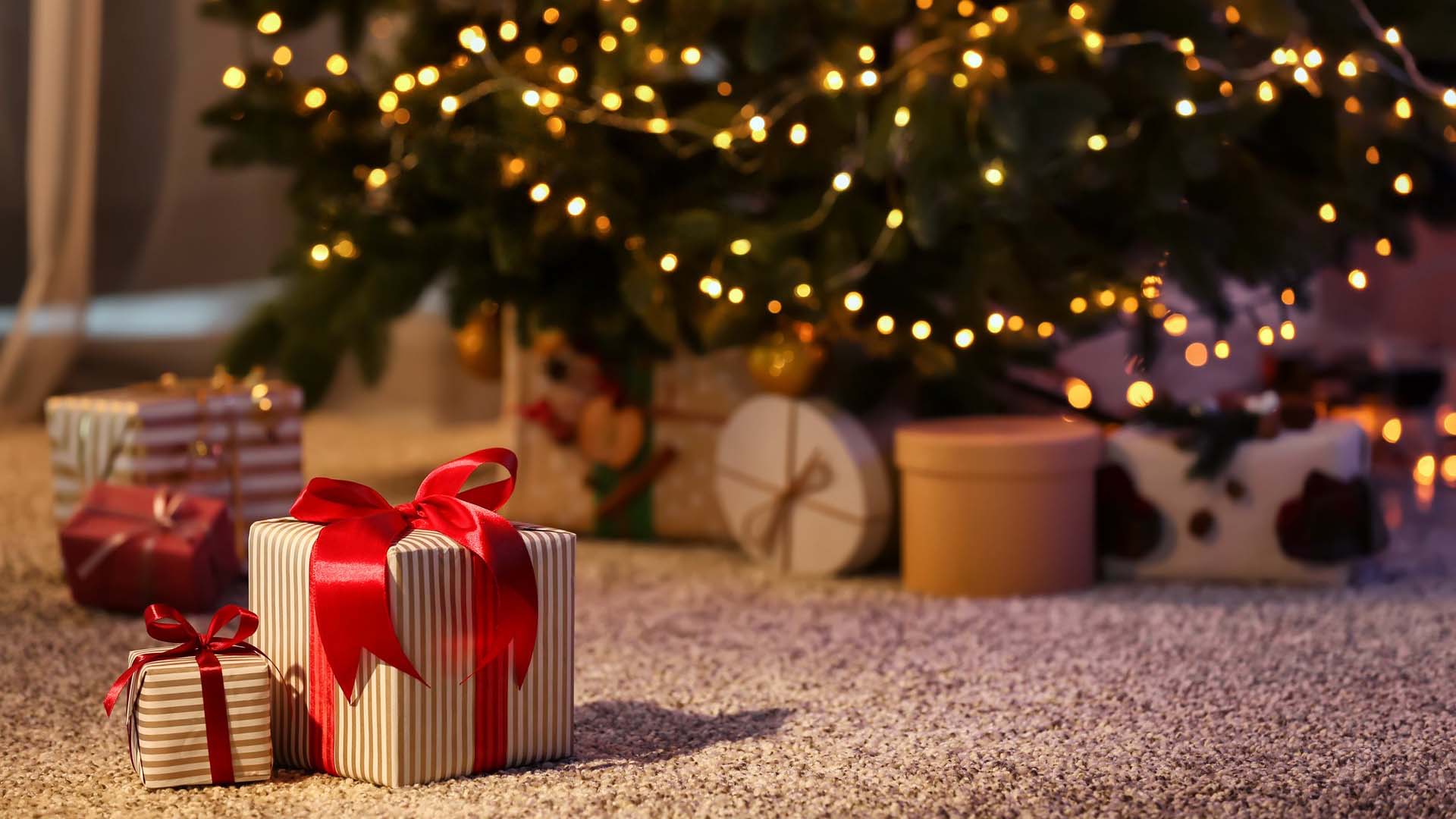 Ho Ho Ho Edukacija