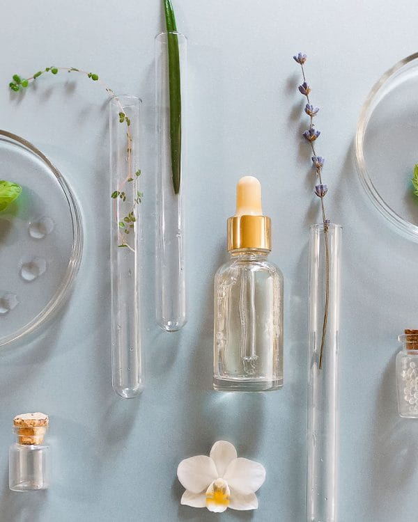 Mentor program - 6th generation