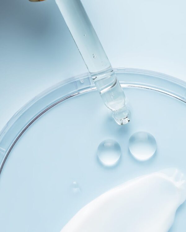 Mentoring program - 8th generation