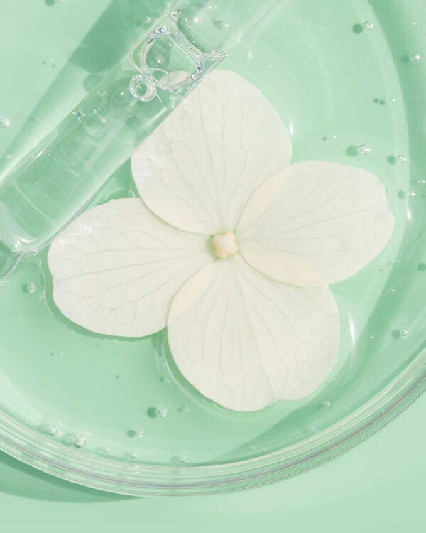 Mentoring program - 8th generation