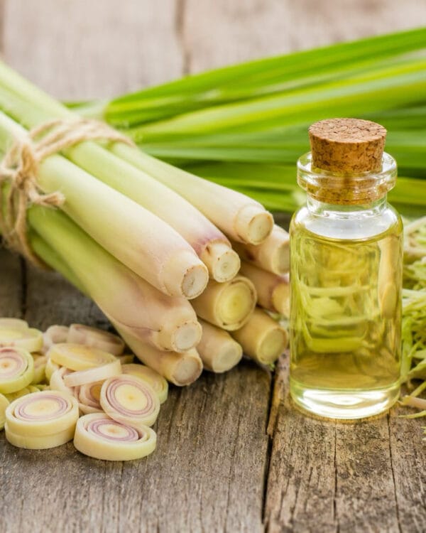 Lemongrass / Kozmetički miris